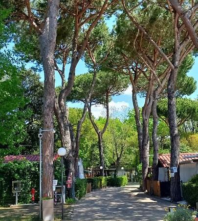 Camping Linus Marina di Massa Exterior foto