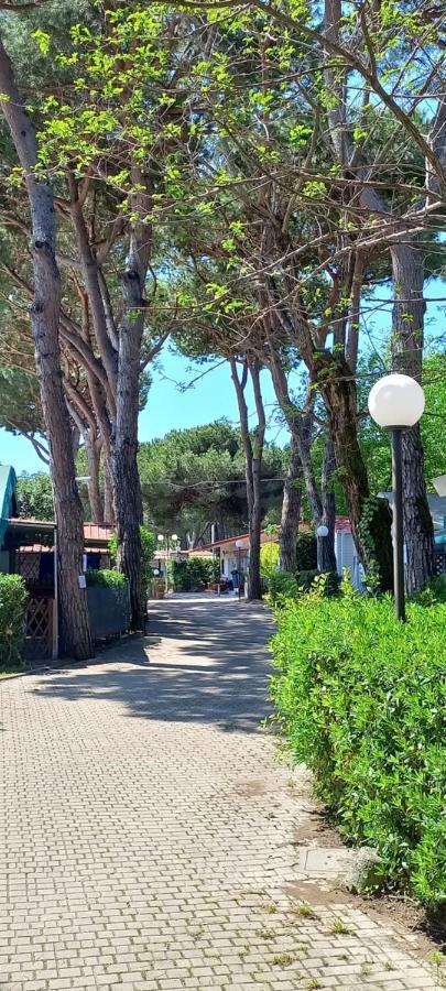Camping Linus Marina di Massa Exterior foto