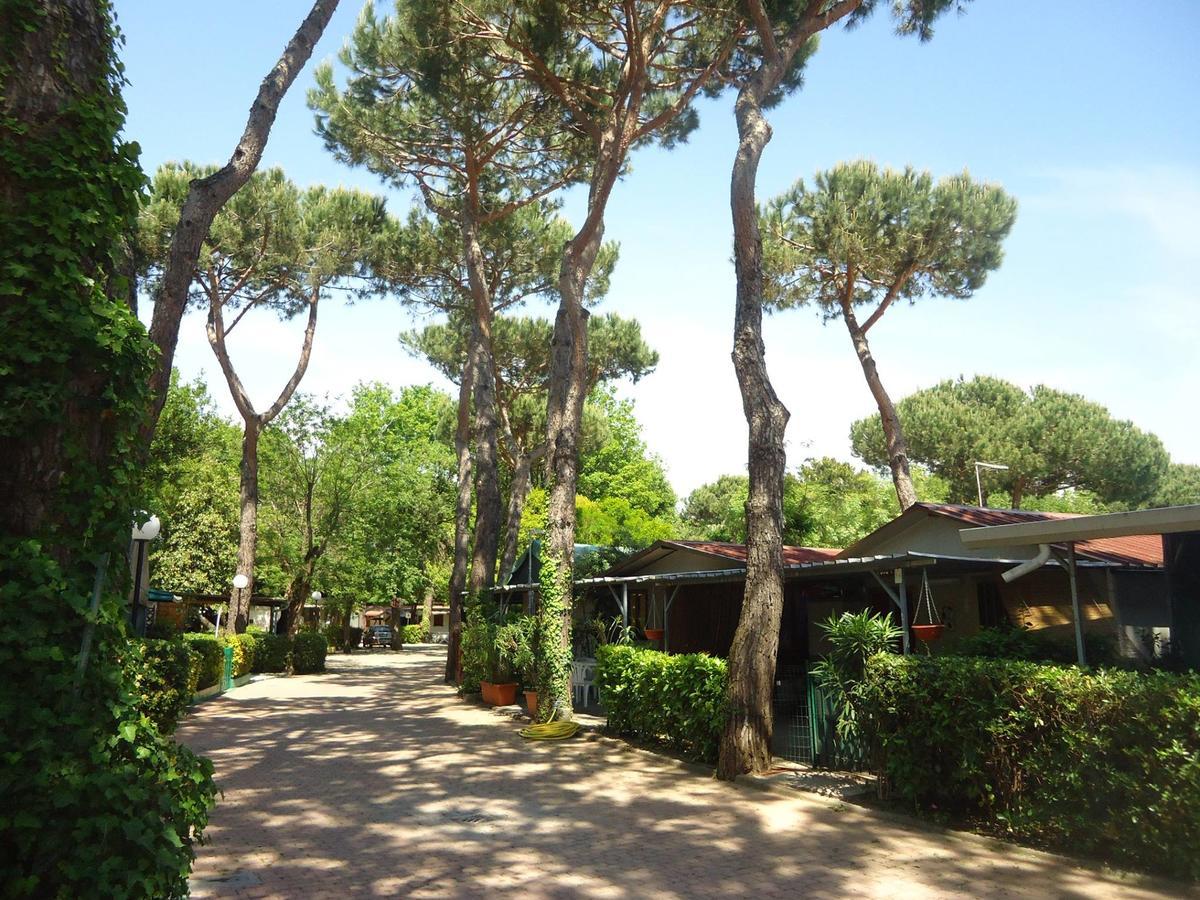 Camping Linus Marina di Massa Exterior foto